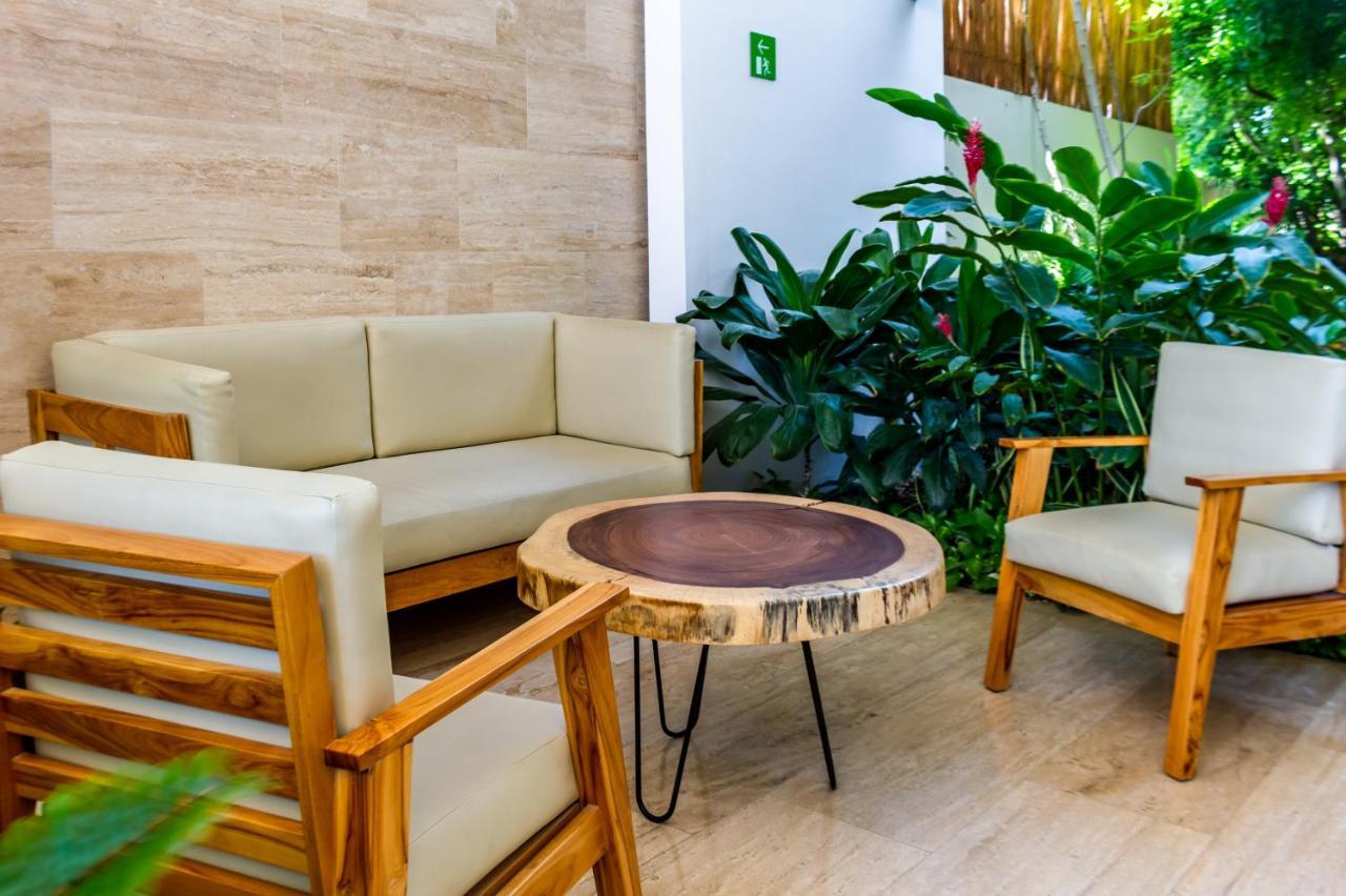 Big Studio At Kaab By The Beach With Roof Top Pool, Sauna And Jacuzzi Near Paseo Del Carmen Mall 普拉亚卡门 外观 照片