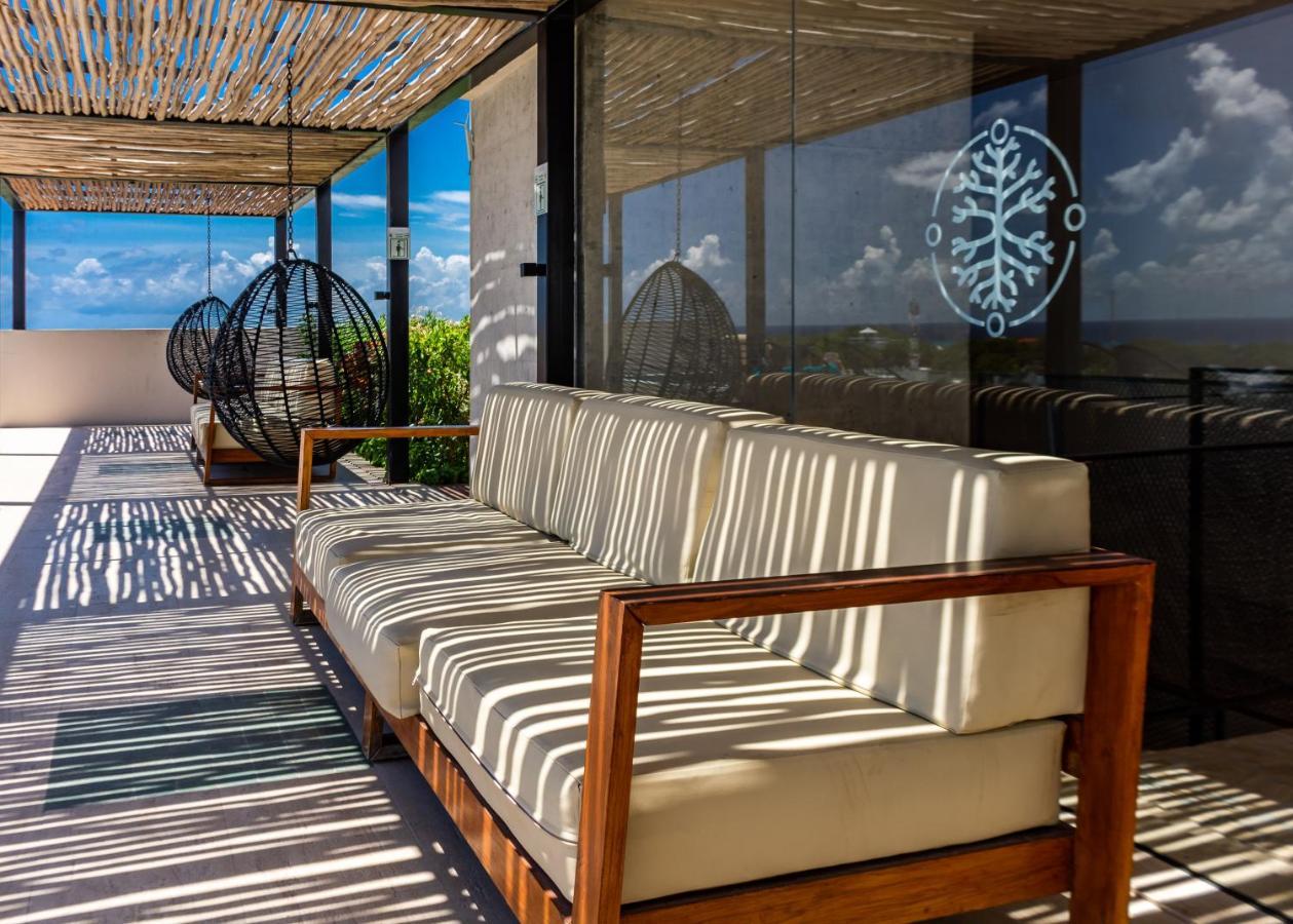 Big Studio At Kaab By The Beach With Roof Top Pool, Sauna And Jacuzzi Near Paseo Del Carmen Mall 普拉亚卡门 外观 照片