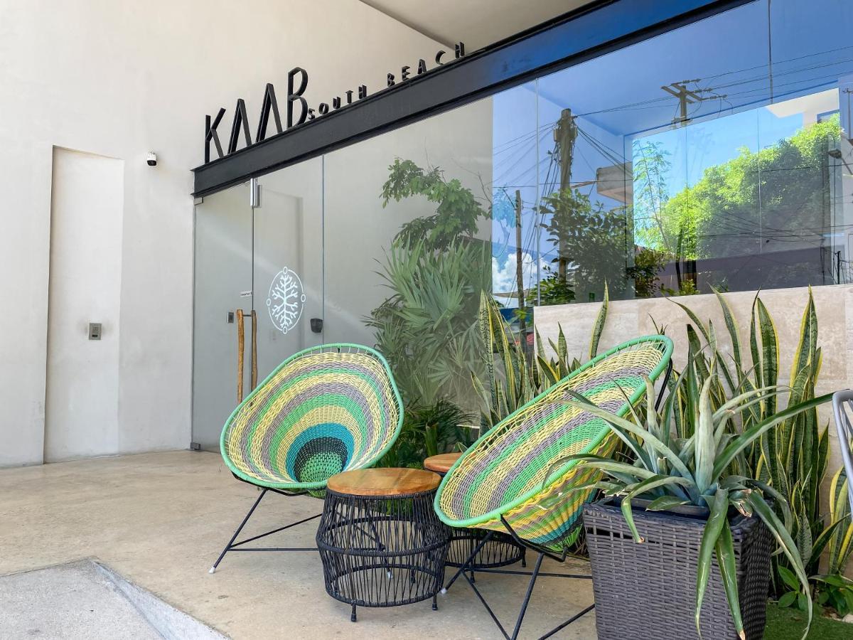 Big Studio At Kaab By The Beach With Roof Top Pool, Sauna And Jacuzzi Near Paseo Del Carmen Mall 普拉亚卡门 外观 照片