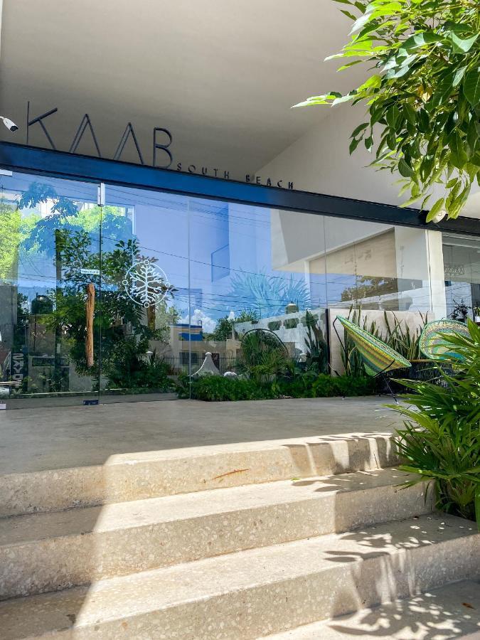 Big Studio At Kaab By The Beach With Roof Top Pool, Sauna And Jacuzzi Near Paseo Del Carmen Mall 普拉亚卡门 外观 照片