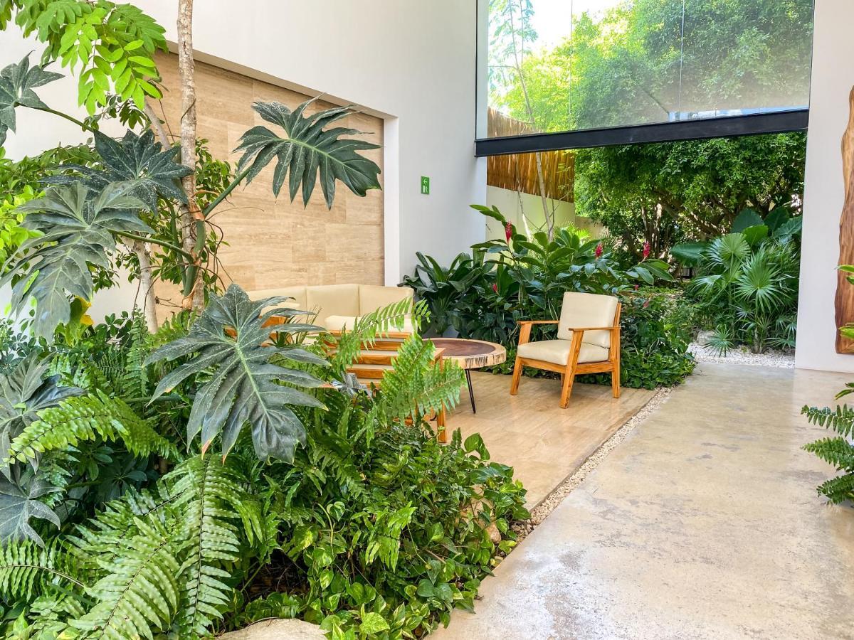 Big Studio At Kaab By The Beach With Roof Top Pool, Sauna And Jacuzzi Near Paseo Del Carmen Mall 普拉亚卡门 外观 照片