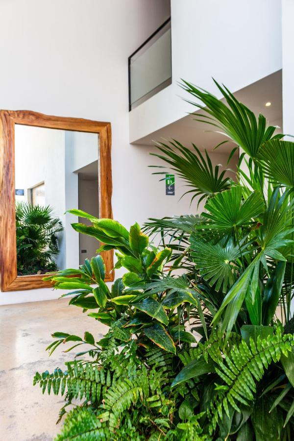 Big Studio At Kaab By The Beach With Roof Top Pool, Sauna And Jacuzzi Near Paseo Del Carmen Mall 普拉亚卡门 外观 照片